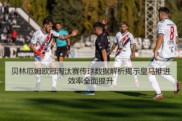 img_1783239773240_81_1_471.jpg